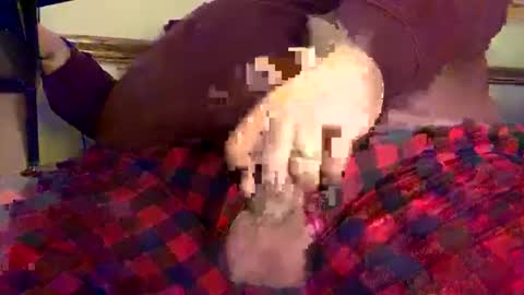 Snapshot of mnguy19726969 chatting on 12-18-24, 06:25 mnguy19726969 online show from 12-18-24, 06:25