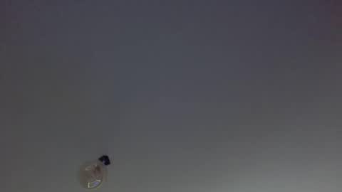 KinkyCoupleNL online show from 12-02-25, 11:26