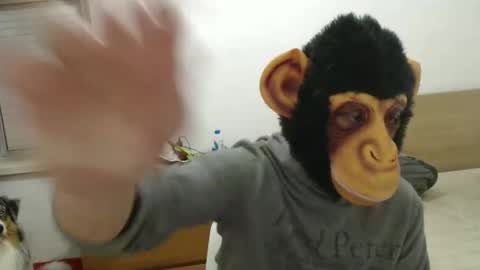 molkreid2 online show from 04-05-26, 03:04