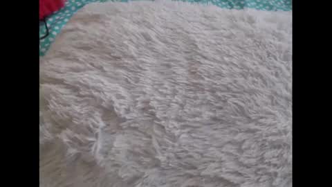 Snapshot of mollyandbra chatting on 02-06-25, 10:21 Molly And Brad online show from 02-06-25, 10:21