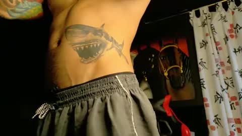 Snapshot of molotov_explosive chatting on 11-19-25, 09:15 Molotov online show from 11-19-25, 09:15