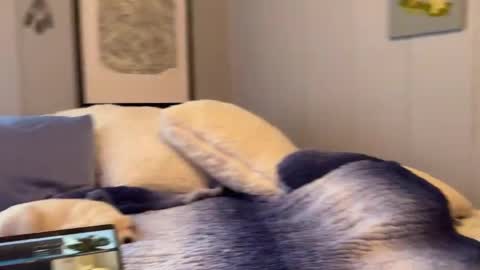 Snapshot of mommamia12 chatting on 01-06-25, 02:58 Mia online show from 01-06-25, 02:58