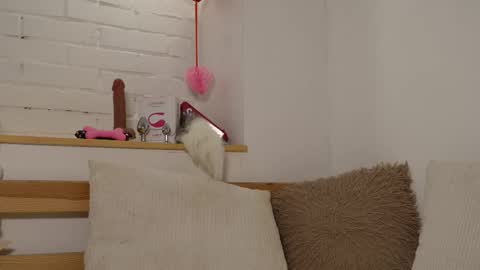 Snapshot of monicaasis chatting on 02-17-25, 12:21 monicaasis online show from 02-17-25, 12:21