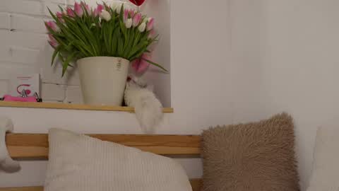 Snapshot of monicaasis chatting on 03-08-25, 09:18 monicaasis online show from 03-08-25, 09:18