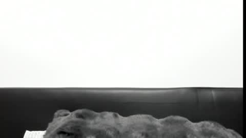 monicacure online show from 10-27-25, 03:16