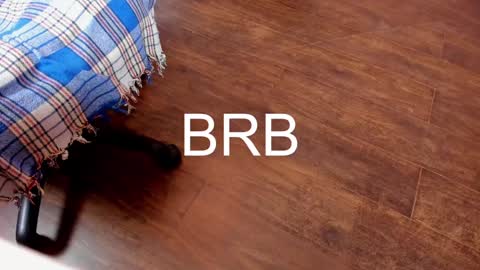 Monika NO c2c ever. PVT free Naked Fingering pussy doggy or standing BJ HJ Feet Fashion. PVT extra Toy control 400tk. online show from 02-06-25, 11:37