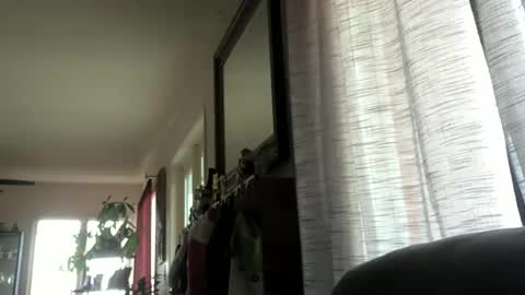 Monkee Dance online show from 12-23-24, 10:01