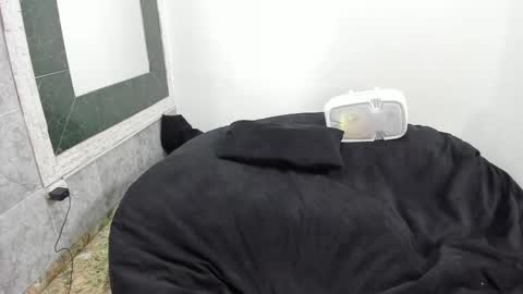 monkeyd_66 online show from 02-18-25, 09:10