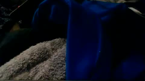 montanacock666 online show from 11-30-25, 06:28