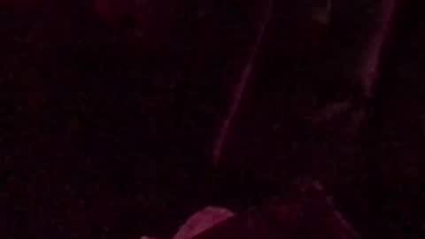 montydxxx2 online show from 09-14-25, 03:05