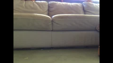 Snapshot of mookaite05 chatting on 03-03-25, 02:26 mookaite05 online show from 03-03-25, 02:26