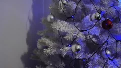   Mona   online show from 12-08-24, 06:54