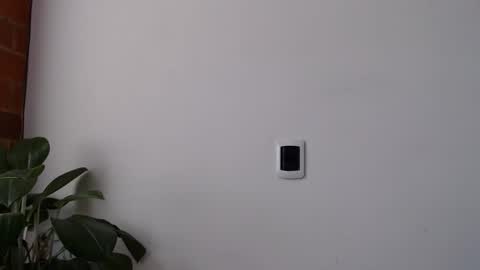 Abelardo online show from 03-28-26, 03:44