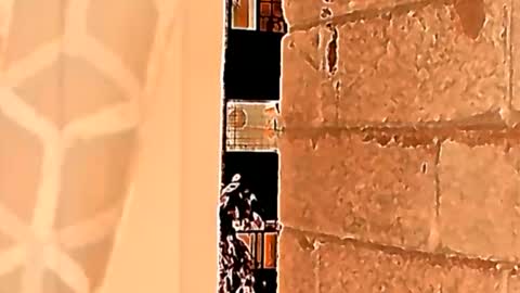 Snapshot of mortyiiiss577762 chatting on 05-23-26, 01:48 Sahid C online show from 05-23-26, 01:48