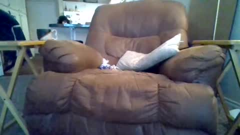 Snapshot of motodub chatting on 03-01-25, 04:00 motodub online show from 03-01-25, 04:00