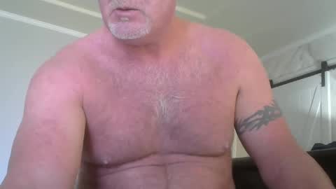 Snapshot of motorguy08 chatting on 12-04-24, 09:35 motorguy08 online show from 12-04-24, 09:35