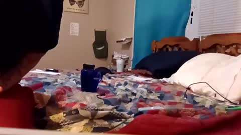 Snapshot of mottsmuff chatting on 02-04-25, 08:24 B online show from 02-04-25, 08:24