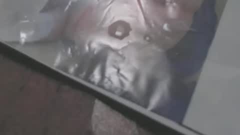 mowfbreever online show from 10-18-25, 05:57