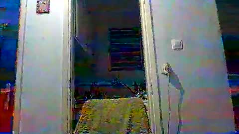 mppempis81 online show from 11-19-25, 03:45