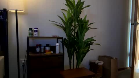 Snapshot of mps908 chatting on 02-01-26, 08:40 Sequoia-Cocked Hombre de Sur online show from 02-01-26, 08:40