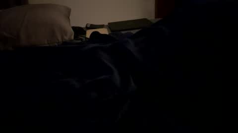 Snapshot of mps908 chatting on 02-06-26, 12:19 Sequoia-Cocked Hombre de Sur online show from 02-06-26, 12:19