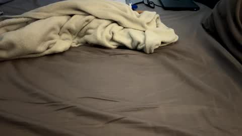 Snapshot of mps908 chatting on 02-21-26, 06:53 Sequoia-Cocked Hombre de Sur online show from 02-21-26, 06:53