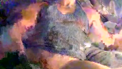 Snapshot of mr2mr2 chatting on 02-26-26, 04:39 Mr2 online show from 02-26-26, 04:39