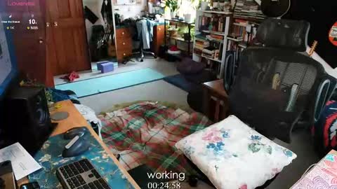 ninko online show from 02-13-25, 08:34