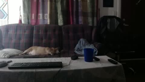 Snapshot of mr_happy12 chatting on 09-23-25, 01:19 mr_happy12 online show from 09-23-25, 01:19