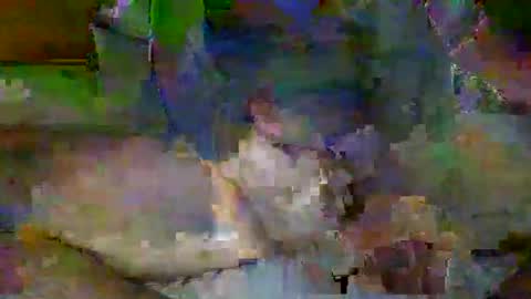 Snapshot of mre11118957 chatting on 04-06-26, 02:09 Mr-E online show from 04-06-26, 02:09