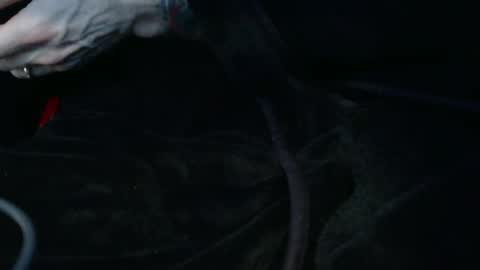 Snapshot of mrf388 chatting on 02-08-26, 03:15 IwantU2WatchME online show from 02-08-26, 03:15