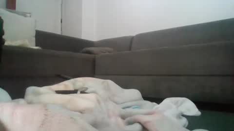 Snapshot of mrhandsomelovee chatting on 05-09-26, 08:08 Nikola online show from 05-09-26, 08:08