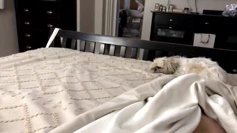 Snapshot of mrrogue chatting on 11-01-25, 05:20 mrrogue online show from 11-01-25, 05:20