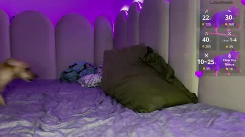 Snapshot of ms_ditaa chatting on 07-03-26, 10:16 Dita online show from 07-03-26, 10:16