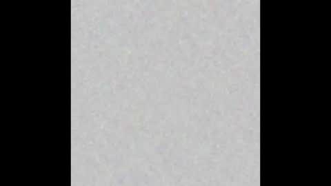 Ms Kitten Smitten online show from 12-12-24, 12:27