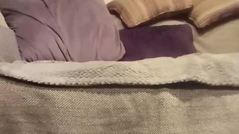 mtx9889 online show from 10-27-25, 10:47