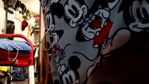 muddflapz online show from 10-06-25, 10:56