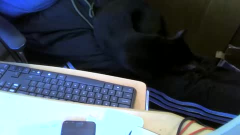 muller520 online show from 05-13-26, 02:58