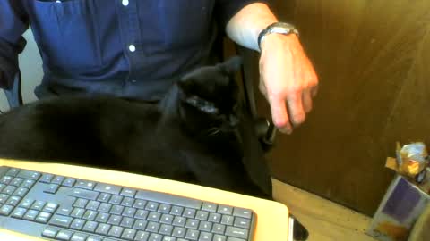Snapshot of muller520 chatting on 07-31-26, 05:23 muller520 online show from 07-31-26, 05:23