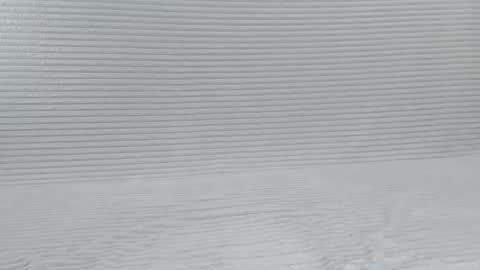 murrrmuah online show from 10-08-25, 07:55