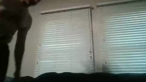 Snapshot of my_little_vienna_sausage chatting on 11-16-25, 10:26 vienna online show from 11-16-25, 10:26