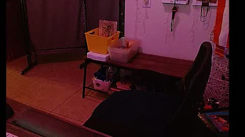 Snapshot of mycock4u247 chatting on 01-08-25, 08:27 LA MARIPOSA DE MARICOPA online show from 01-08-25, 08:27