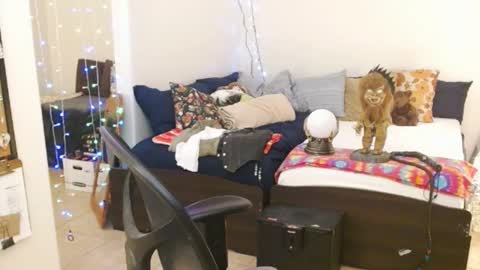 Snapshot of mycock4u247 chatting on 02-14-25, 05:41 LA MARIPOSA DE MARICOPA online show from 02-14-25, 05:41