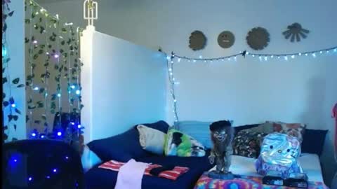 Snapshot of mycock4u247 chatting on 02-22-25, 01:00 LA MARIPOSA DE MARICOPA online show from 02-22-25, 01:00