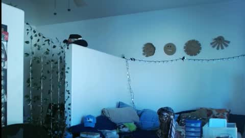 Snapshot of mycock4u247 chatting on 03-02-25, 09:43 LA MARIPOSA DE MARICOPA online show from 03-02-25, 09:43