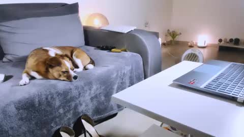 Anda online show from 02-17-25, 10:58