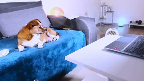 Anda online show from 03-07-25, 01:20