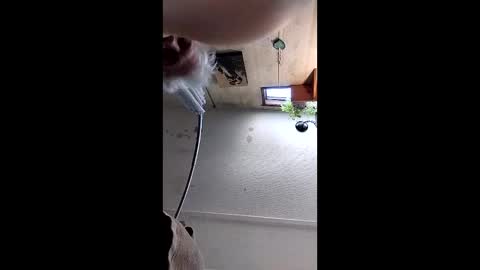 Mynutts online show from 12-16-25, 03:06