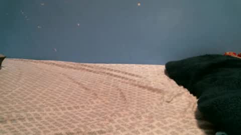 Snapshot of myrraho chatting on 02-27-25, 01:48 myrrah online show from 02-27-25, 01:48