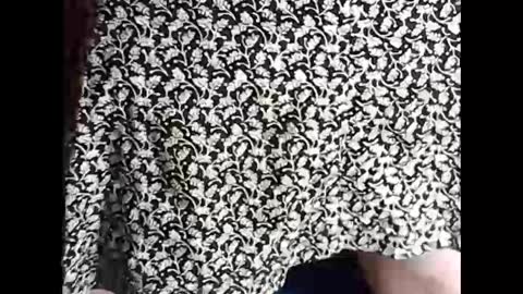 Sissy Mike online show from 02-18-25, 07:09